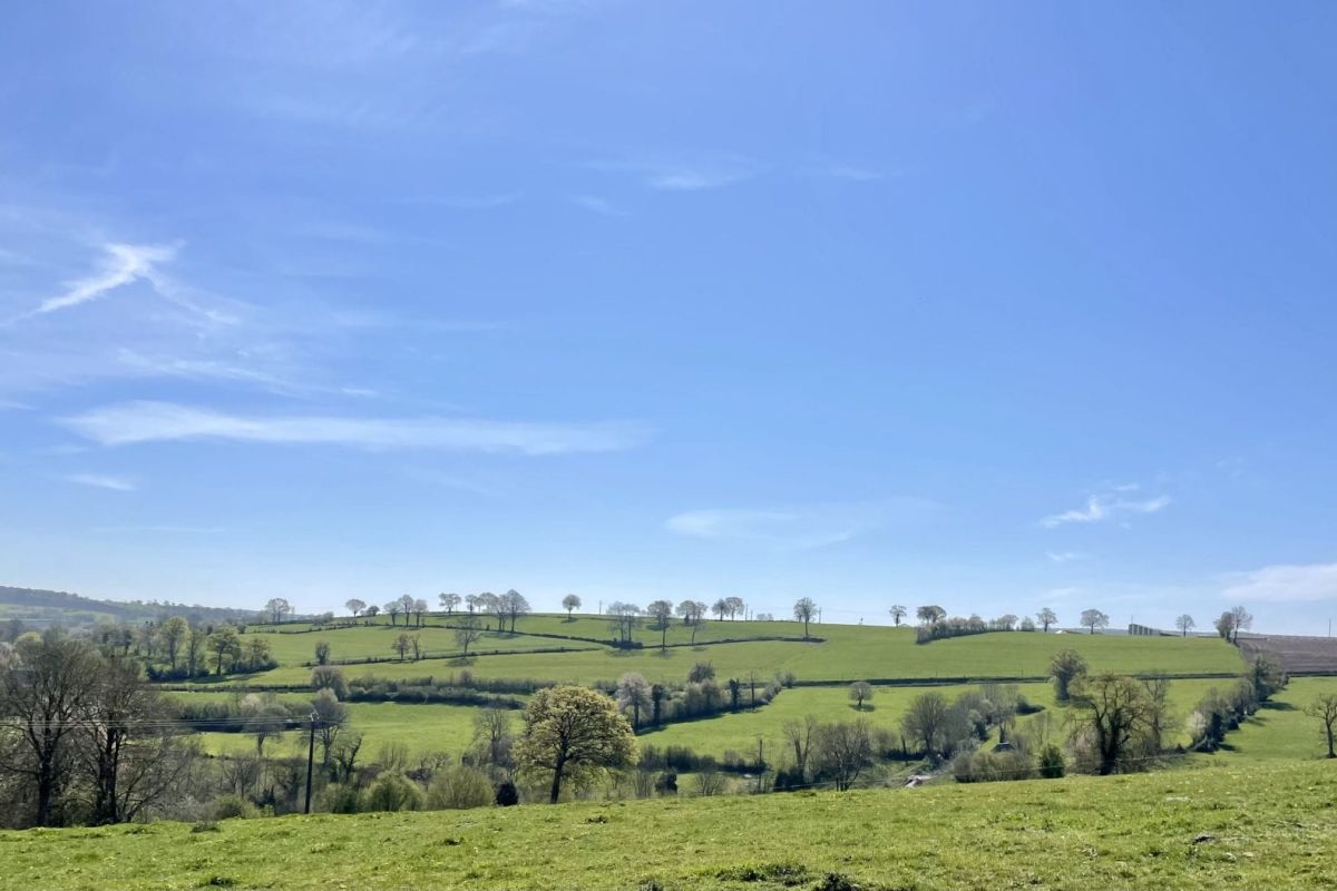 Rech. Terres agricoles