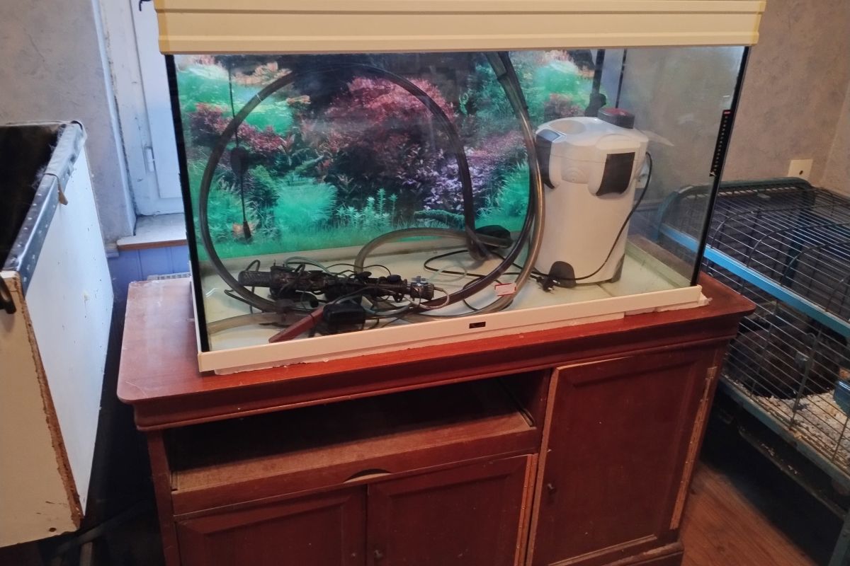 Photo 2 Aquarium complet 240 litres 