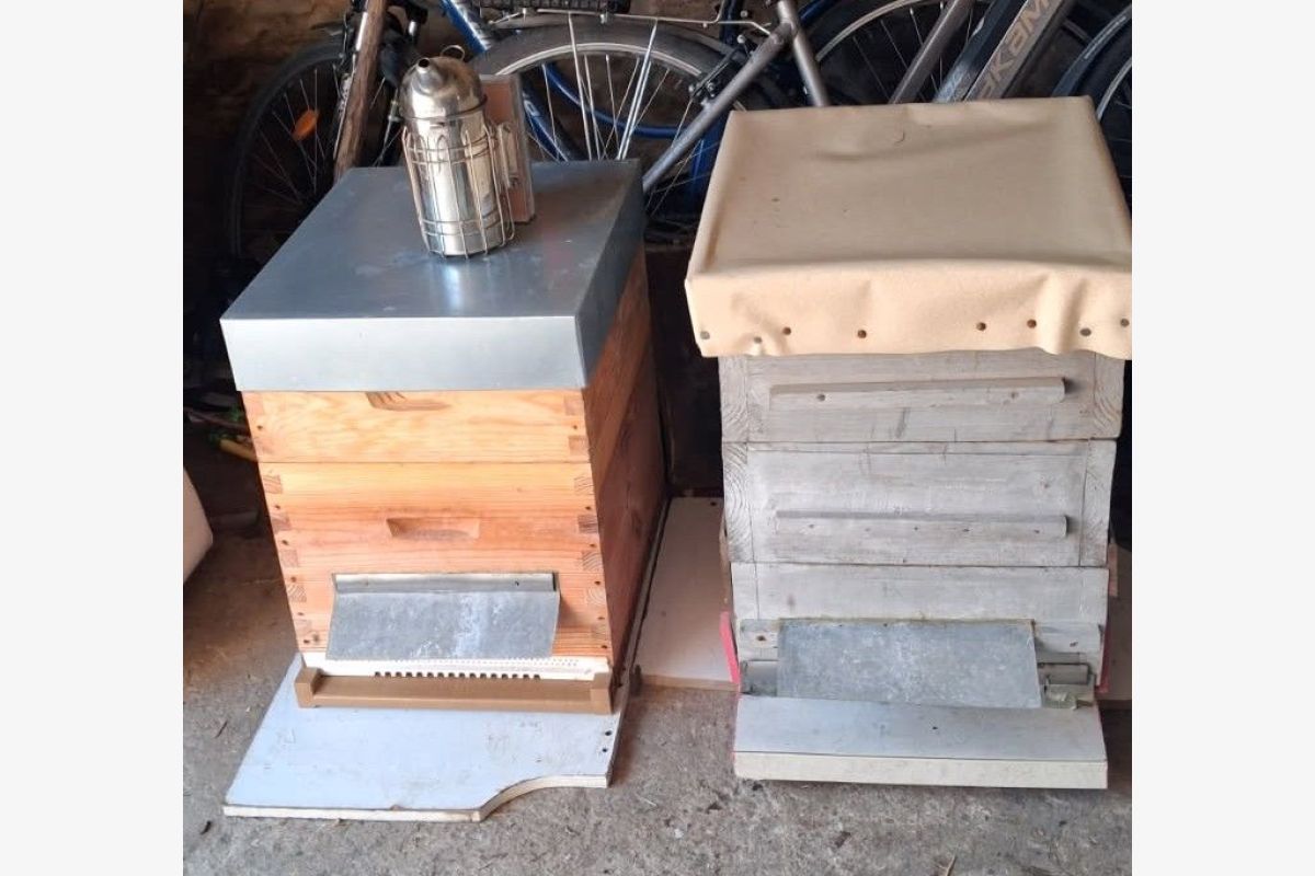2 ruches Dadant