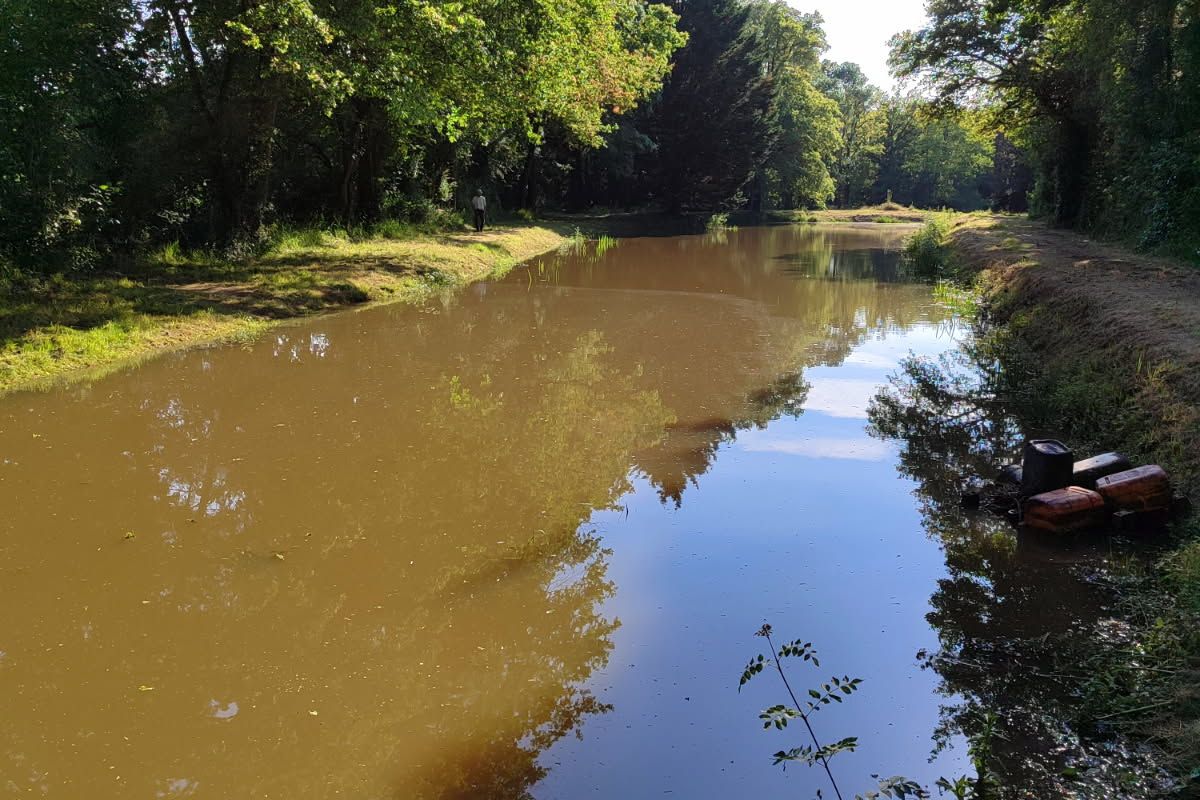 Photo 3 Etangs/ terrain boisé 