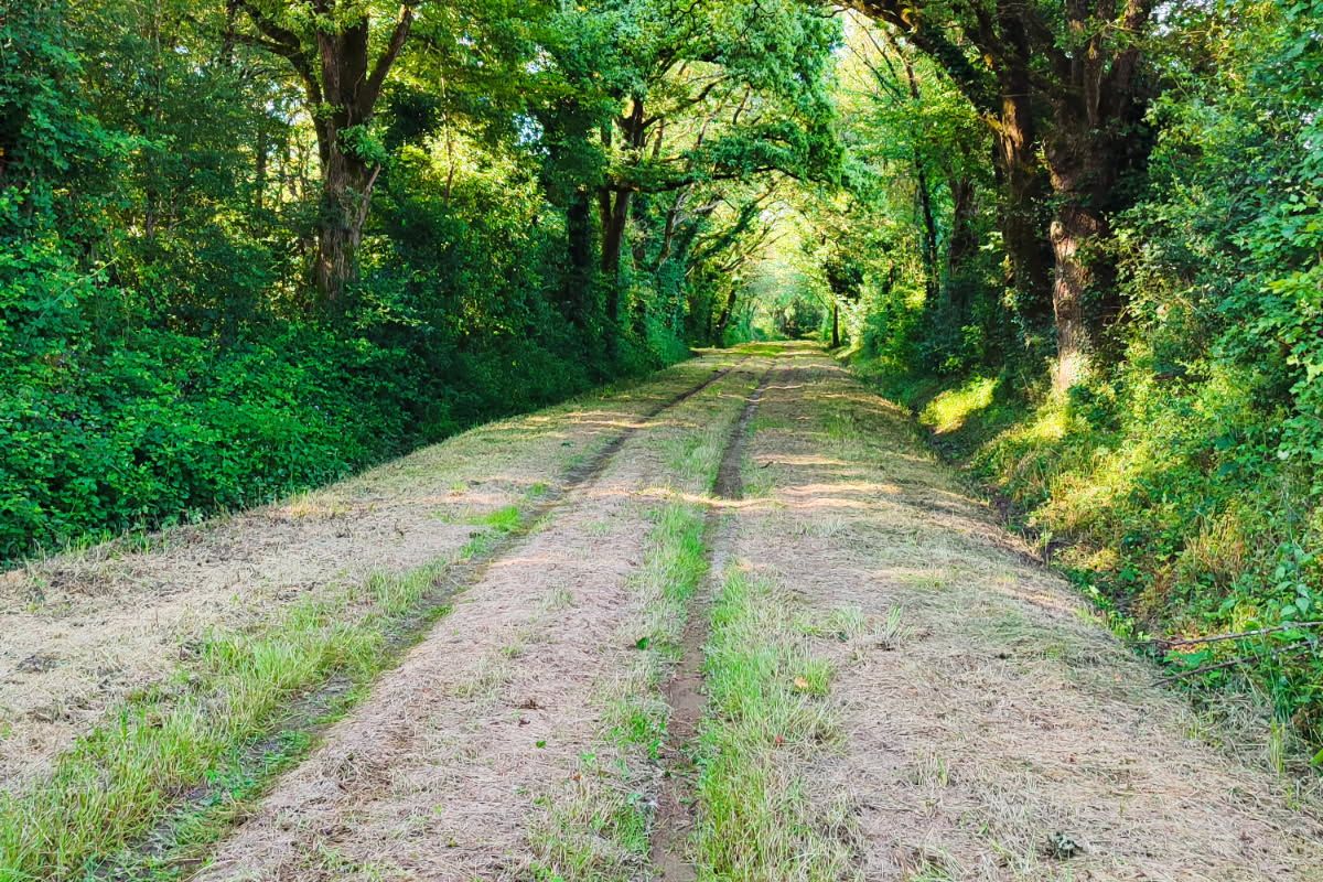 Photo 2 Etangs/ terrain boisé 