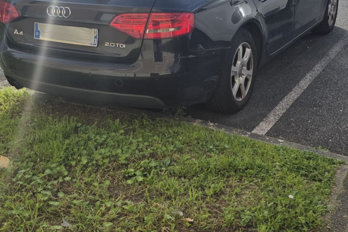 Photo 2 Audi A4 entière pour pièces