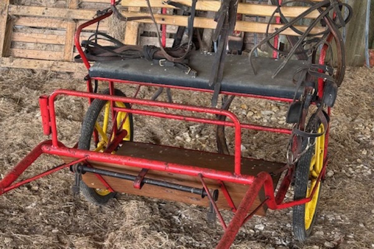 Carriole avec équipage