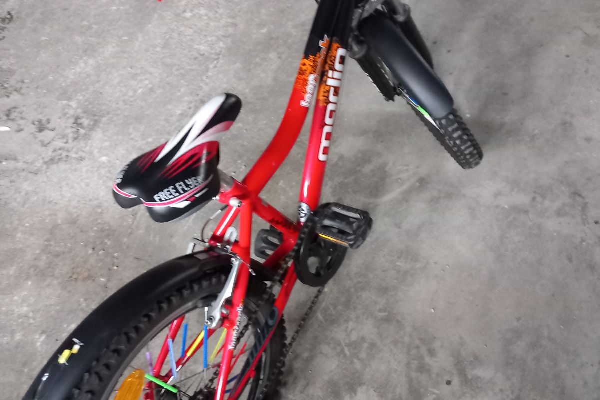 Photo 2 Vélo garçon