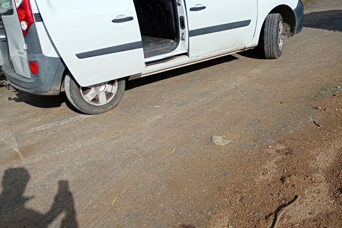 Photo 3 A vendre Kangoo