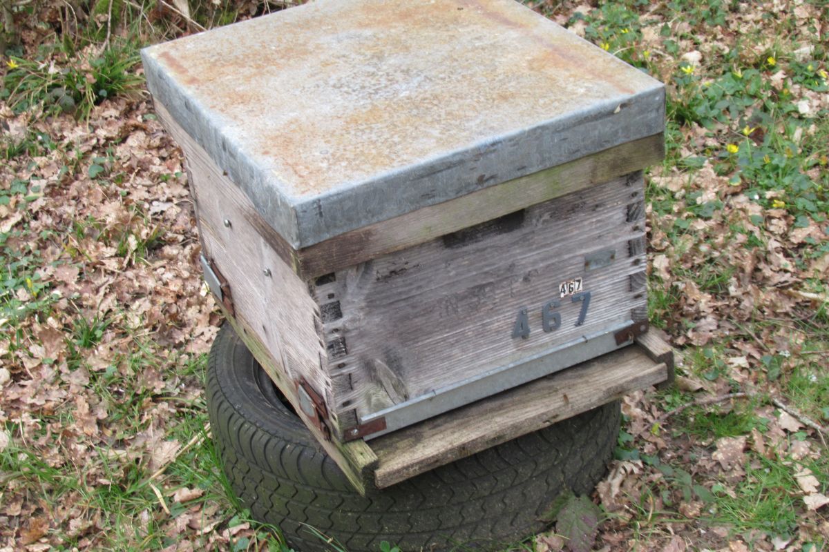 Photo 2 Ruches dadant