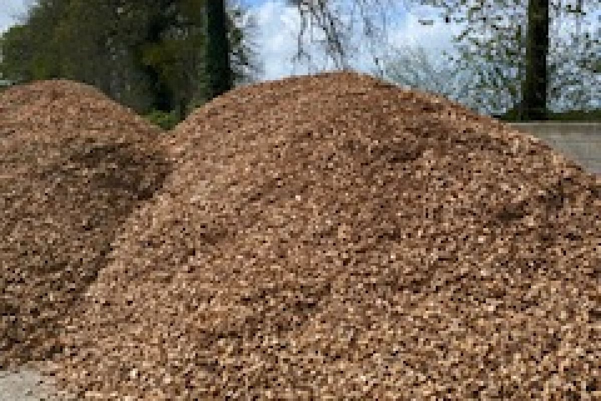 Photo 2 Plaquettes de bois 