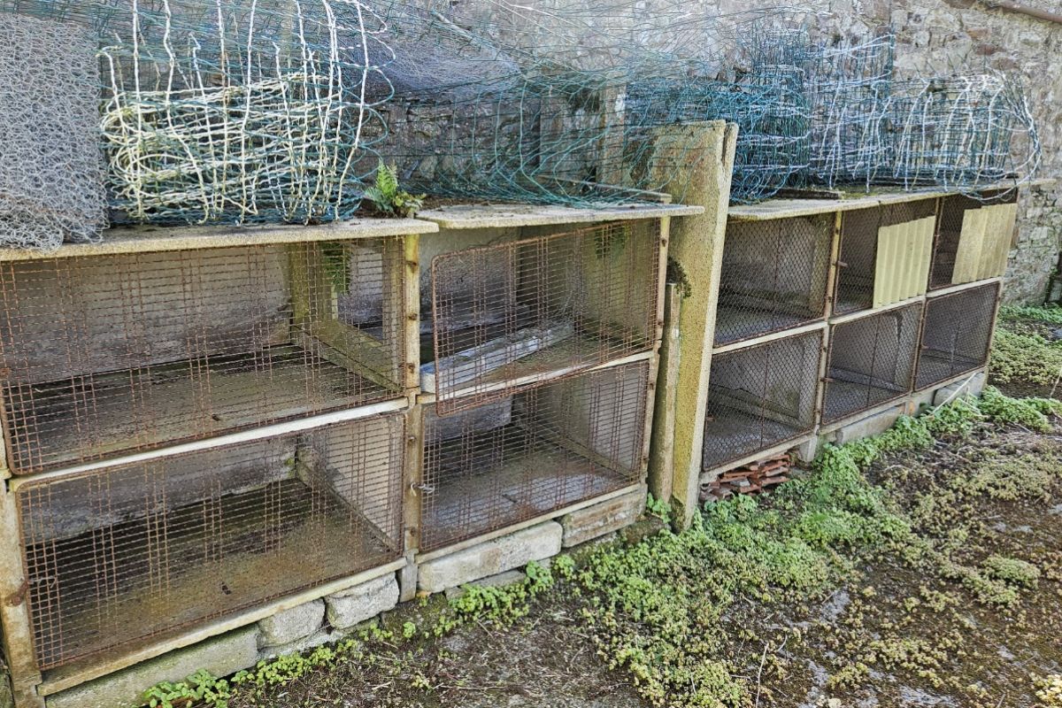 Photo 2 Donne 10 clapiers lapins en béton