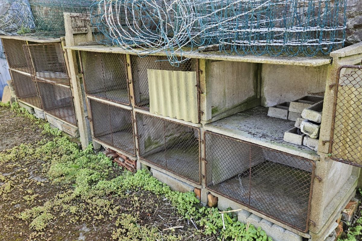 Donne 10 clapiers lapins en béton