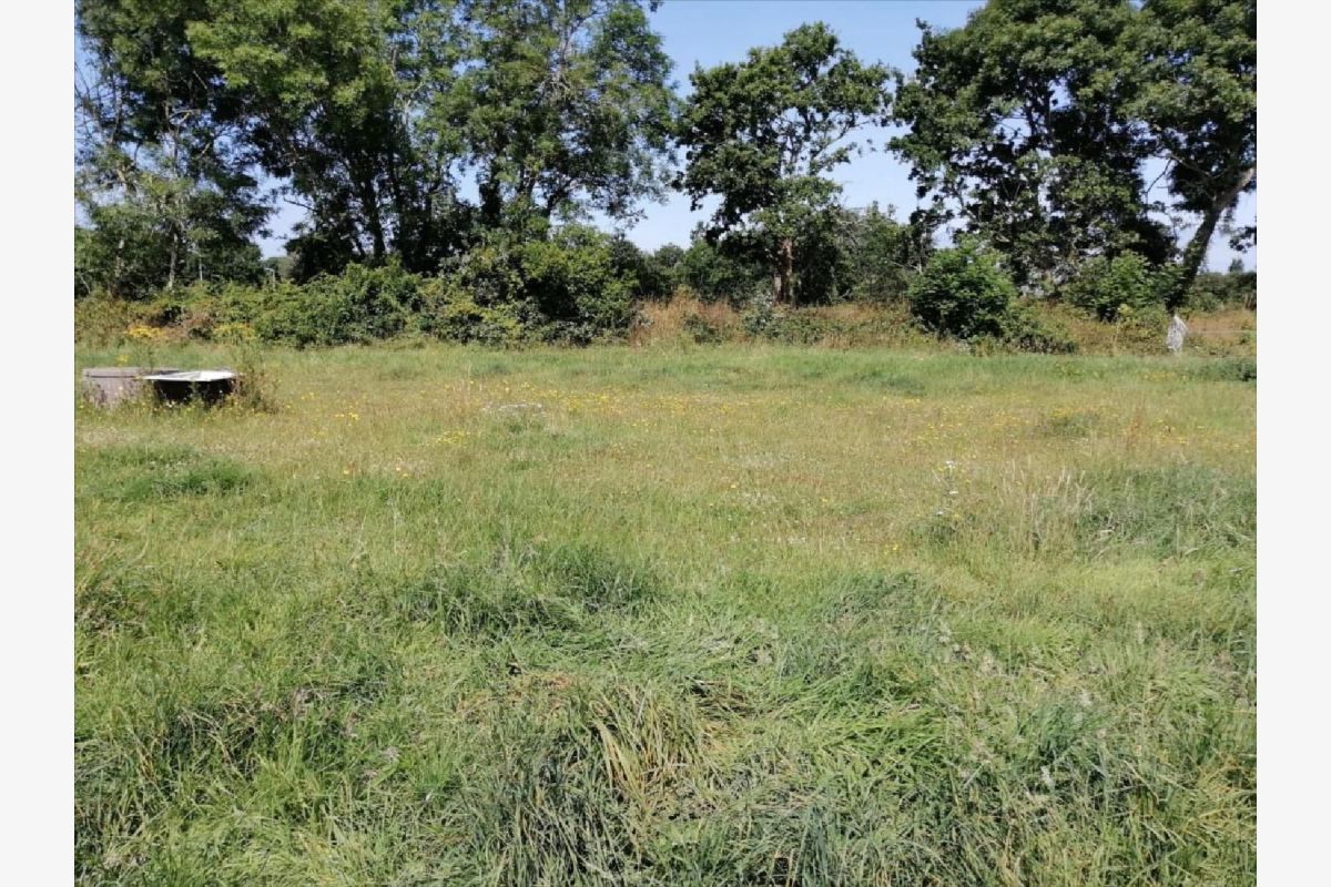 vds terr. à bâtir de 877 m2 (806 m2 constructible), non viab