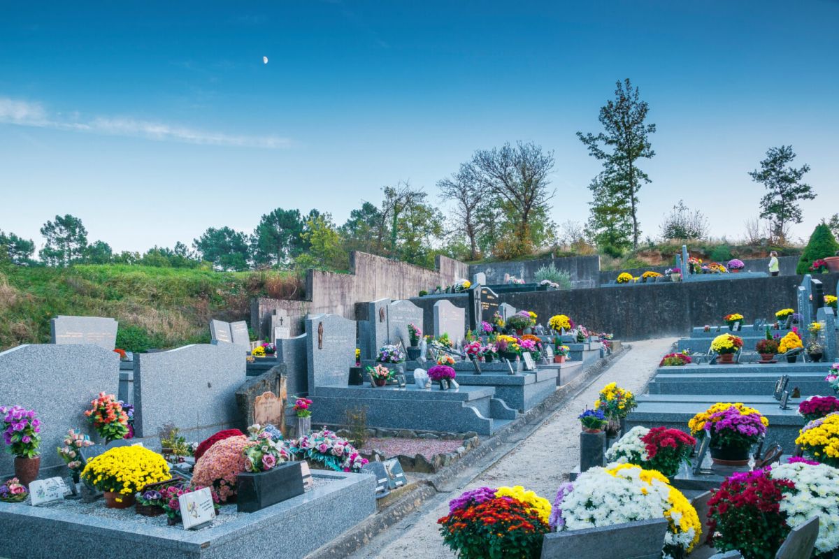 Nettoyage et entretien de Sépultures 