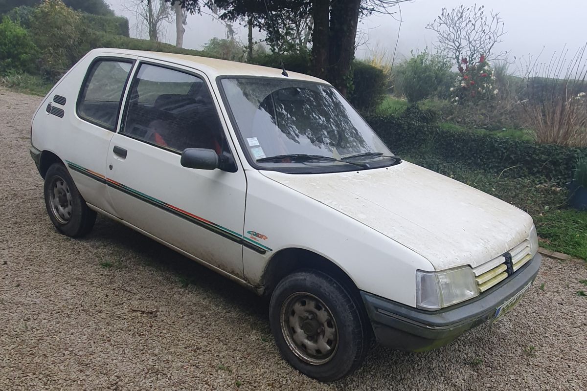 205 color Line  collection