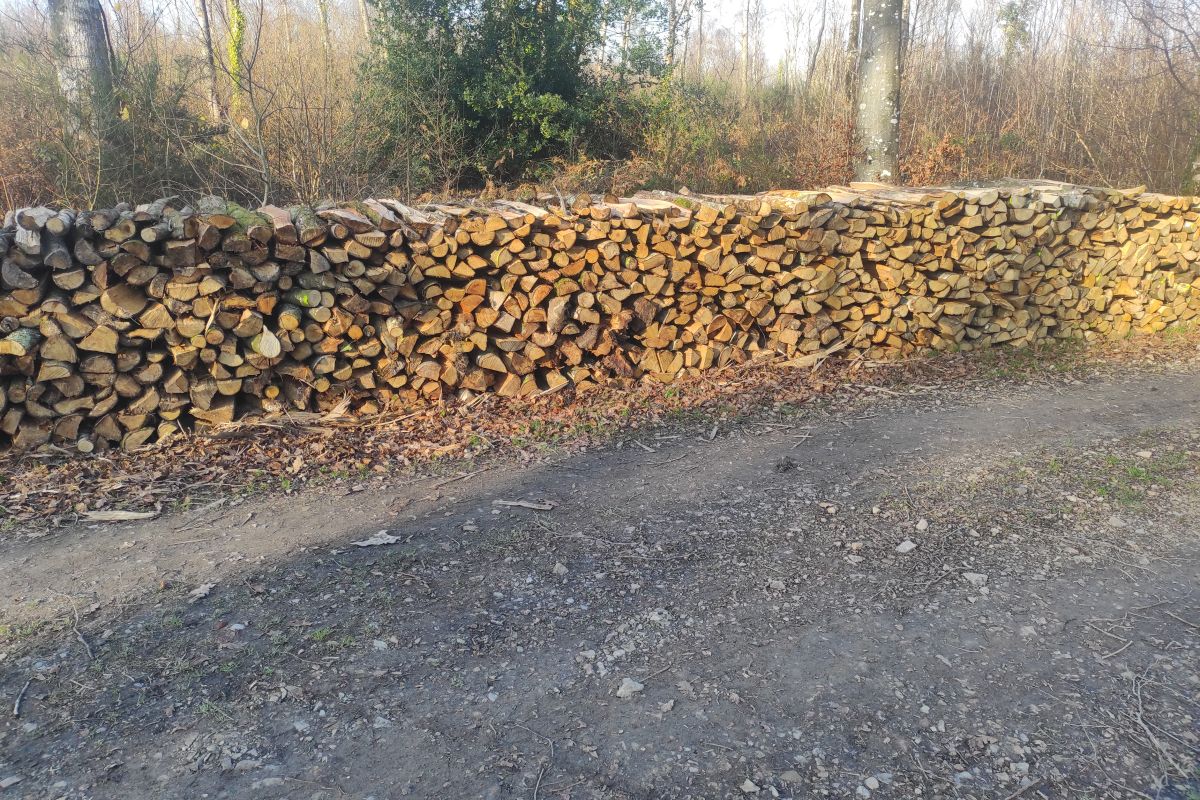 Bois de chauffage