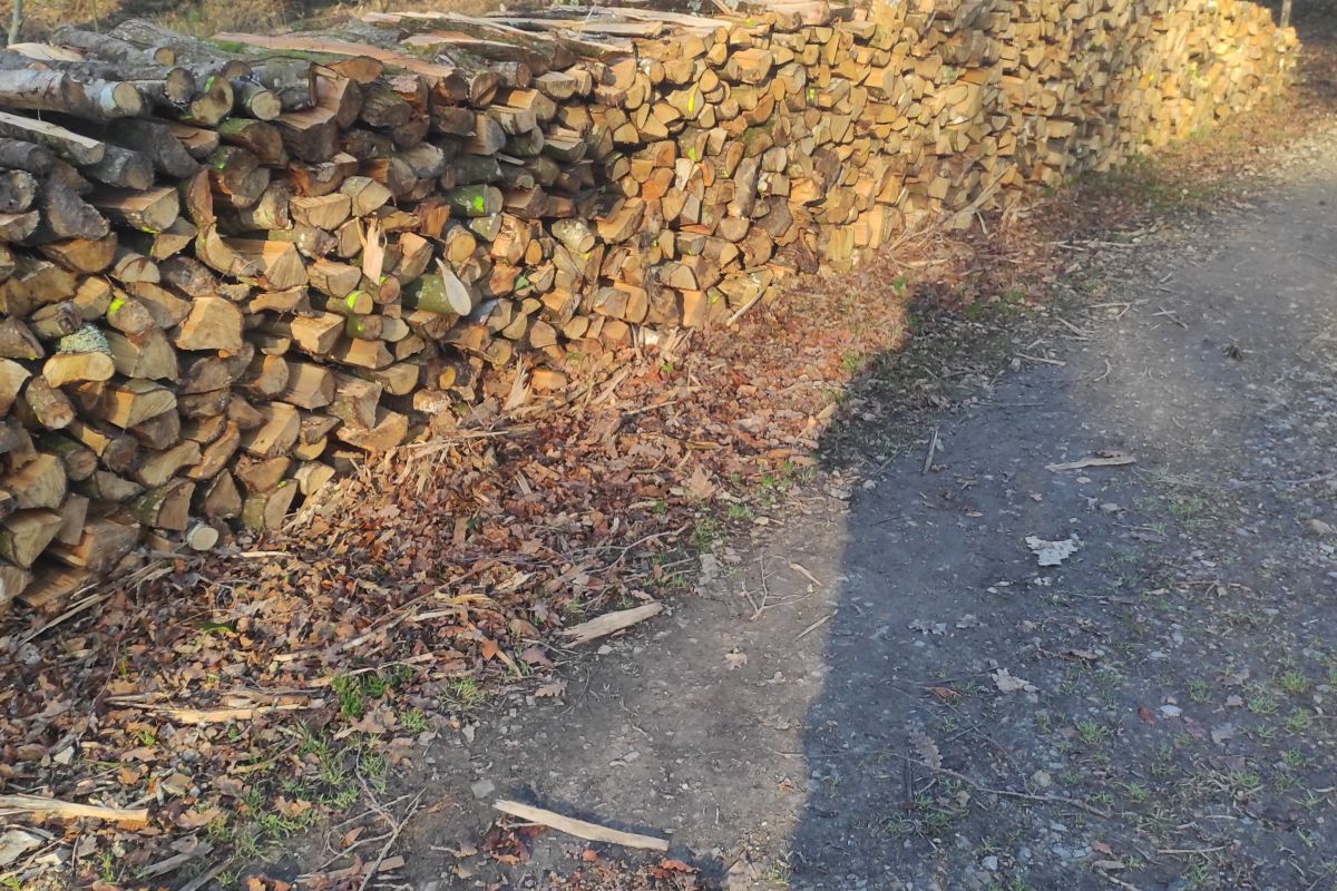 Photo 2 Bois de chauffage
