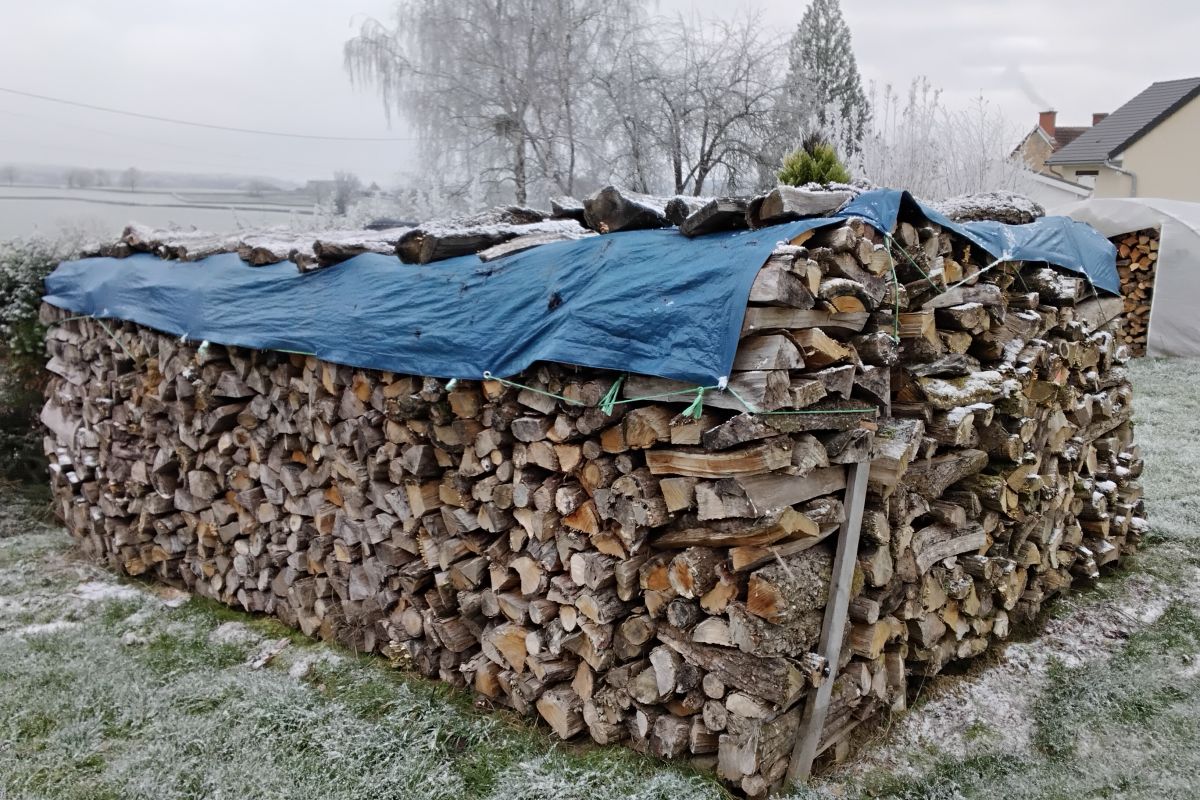 Photo 2 Bois de chauffage 