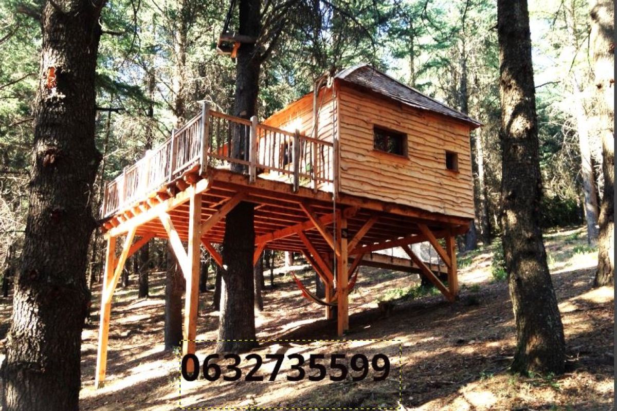 Cabanes perchée dans une forêt de cèdres