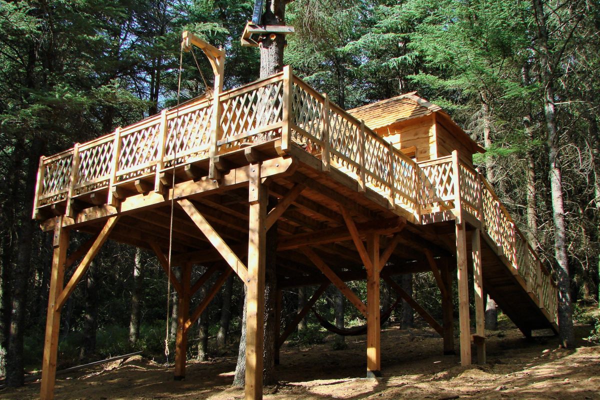 Photo 2 Cabanes perchée dans une forêt de cèdres