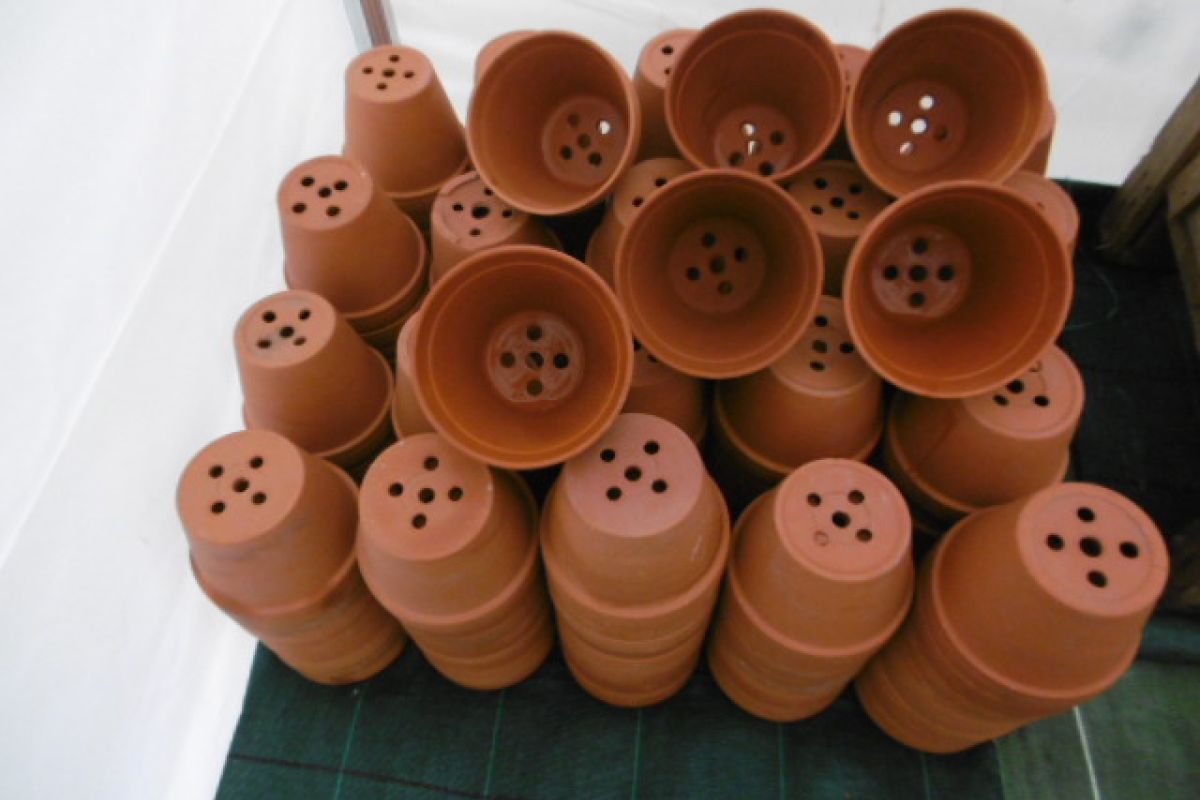 Photo 2 Pots de jardin