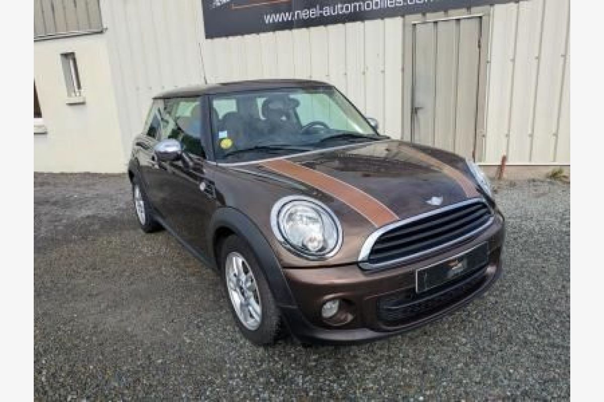 Mini 1.6 D
