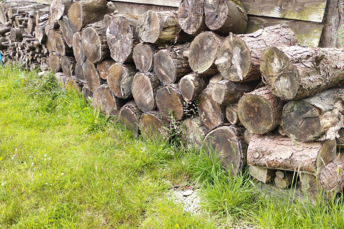 Bois de chauffage