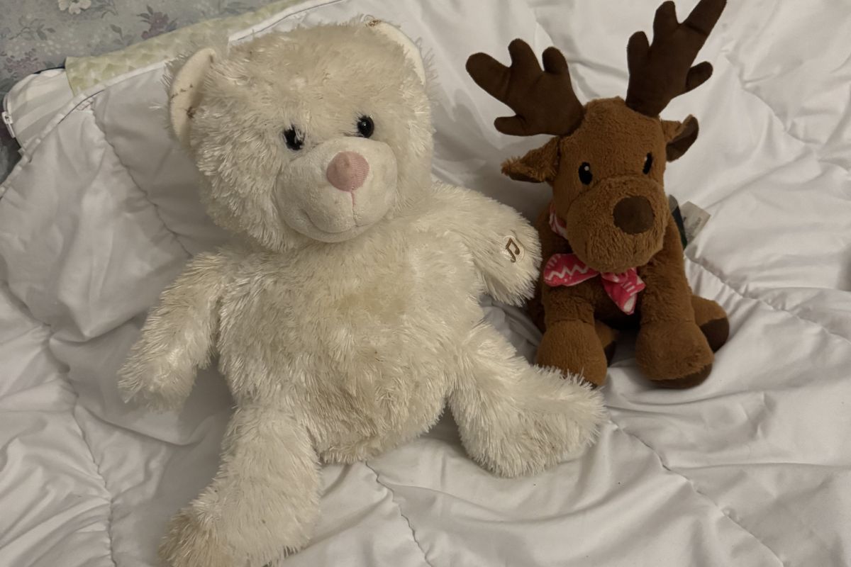 Photo 2 Lot peluche enfant 