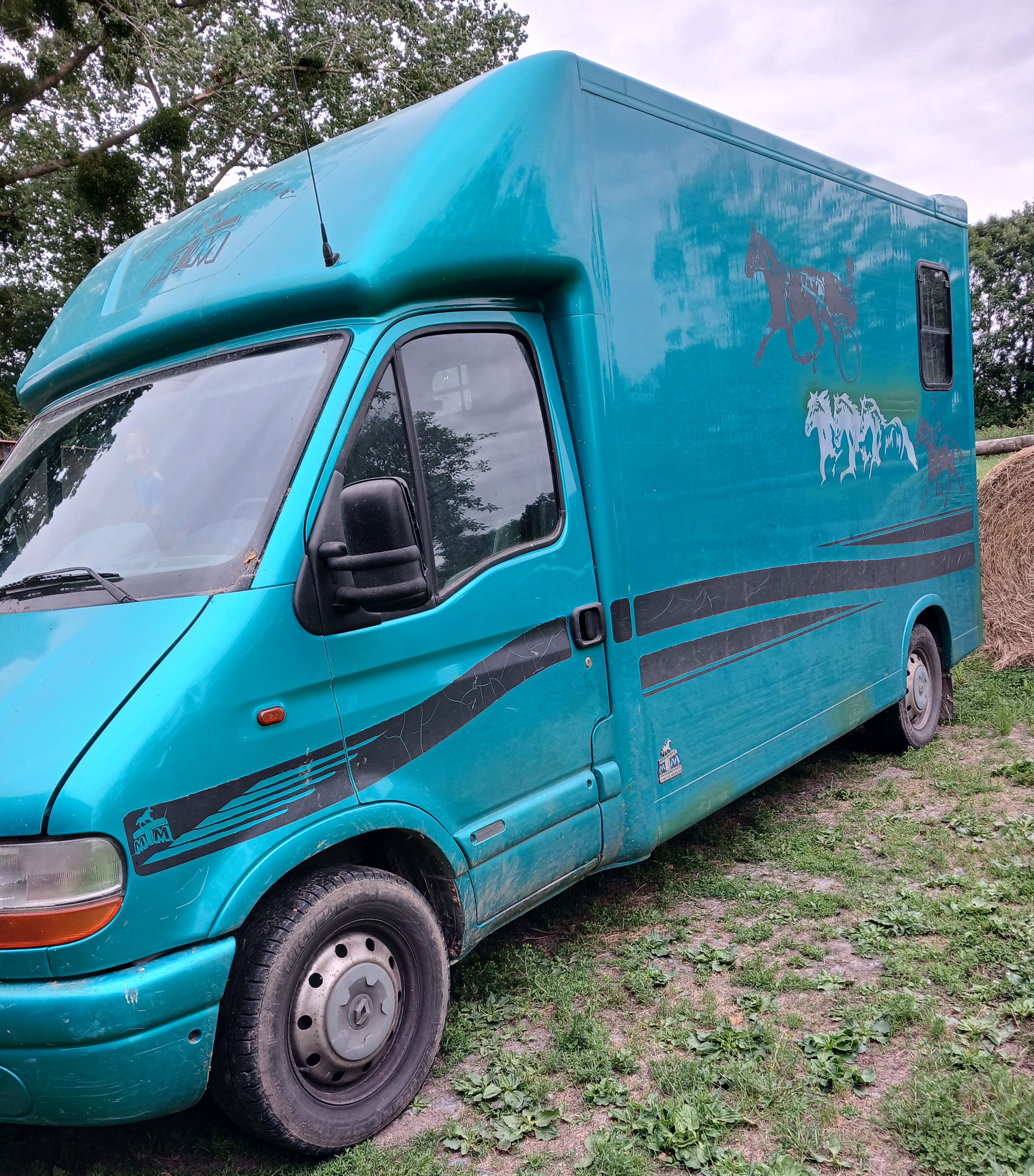 Camion chevaux MTM