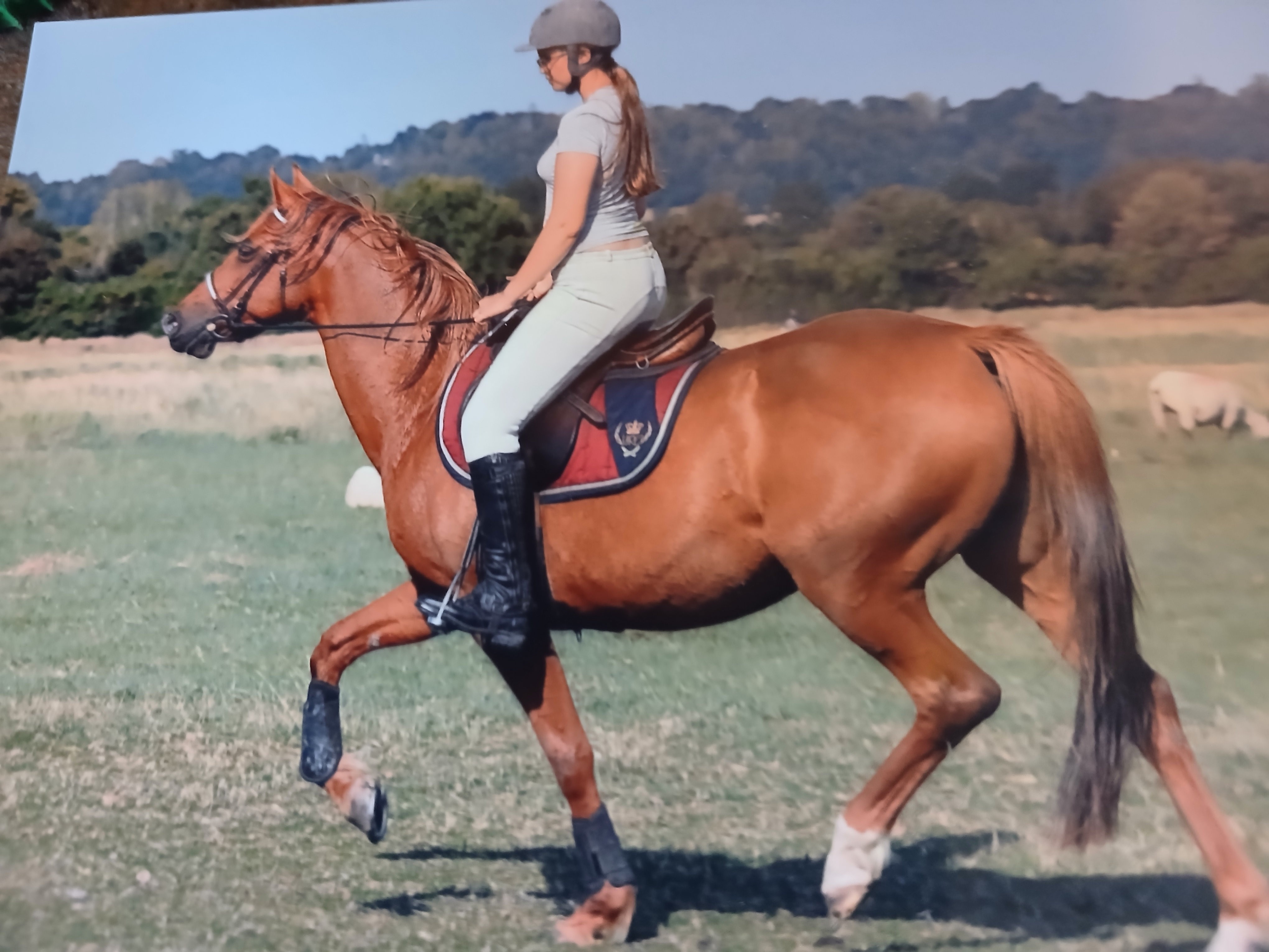 Petite trotteuse