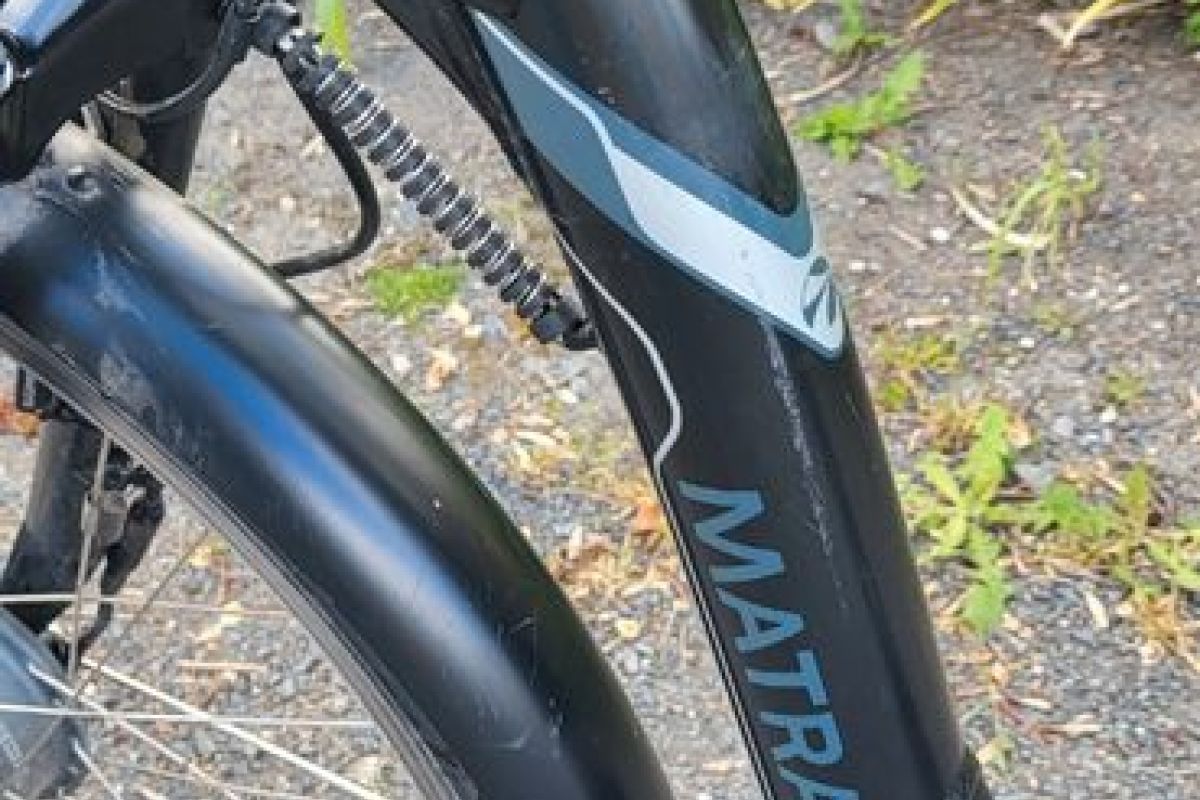 Photo 3 Vélo électrique MATRA