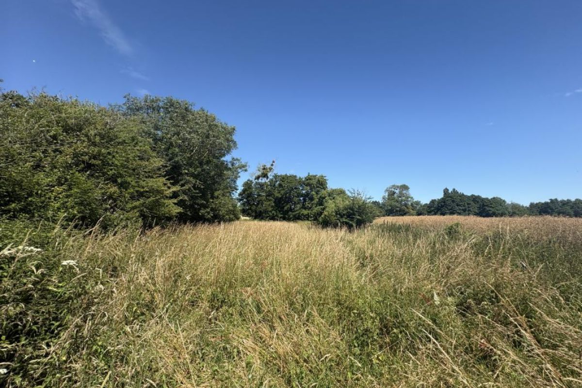 BREHAL, terrain agricole de 1 550 m²