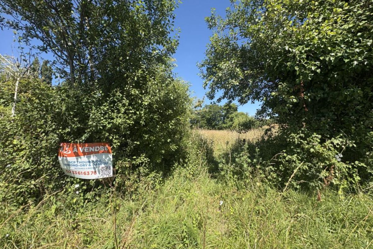 Photo 2 BREHAL, terrain agricole de 1 550 m²