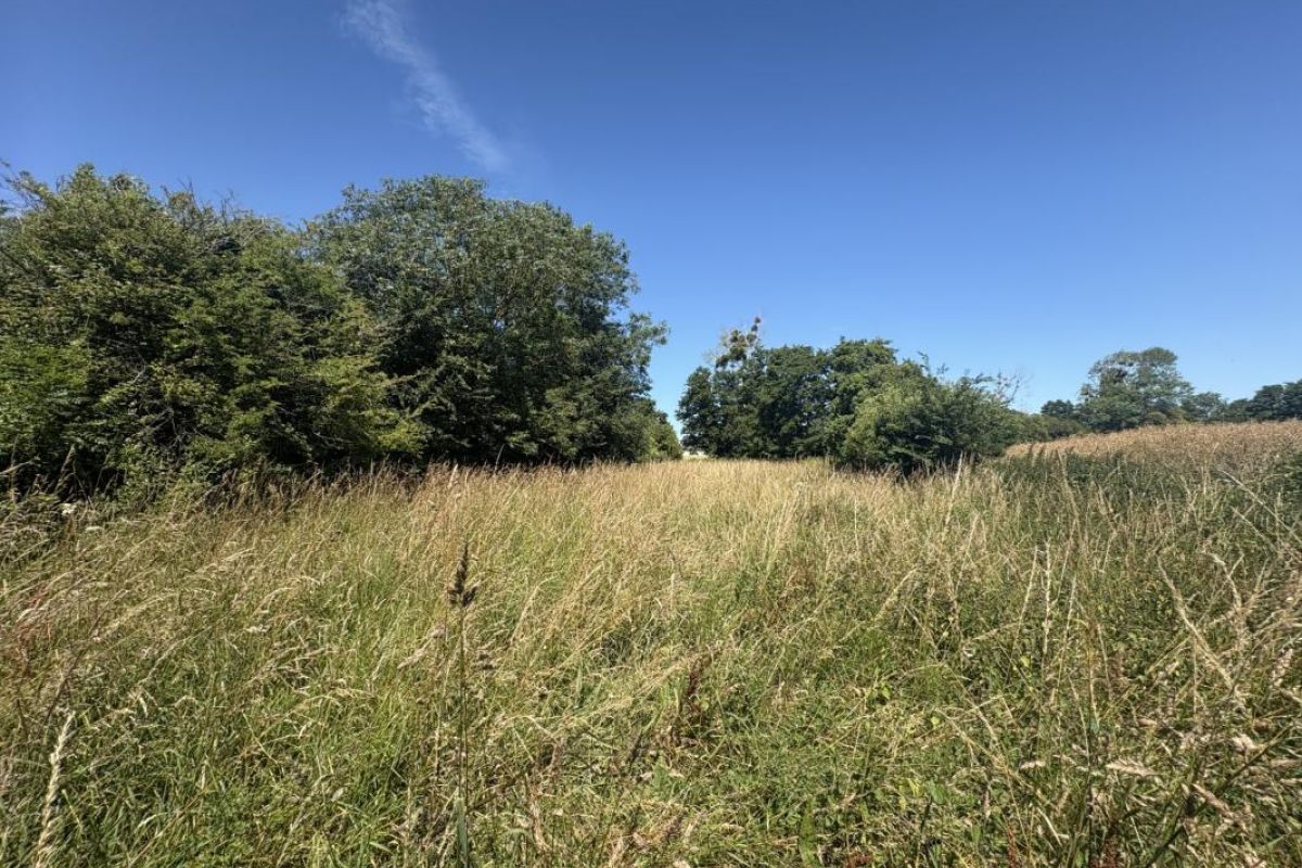 Photo 3 BREHAL, terrain agricole de 1 550 m²