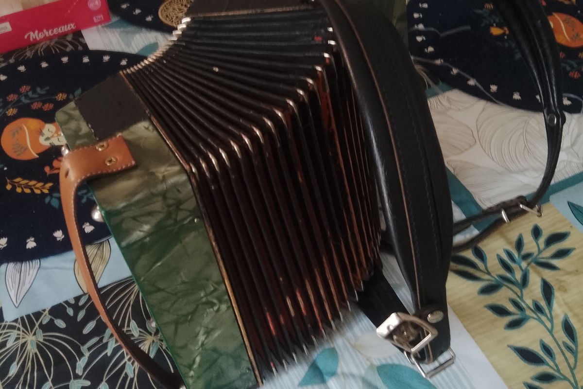 Photo 2 Accordéon 