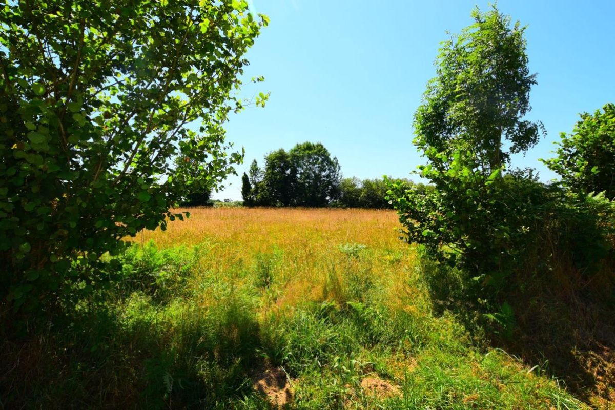 Photo 2 Terrain à vendre Cerisy-la-Salle