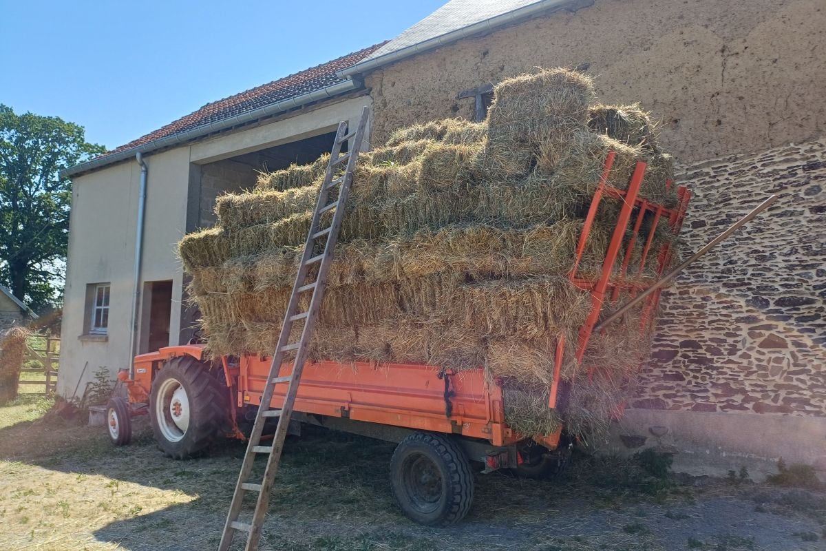 Foin balles