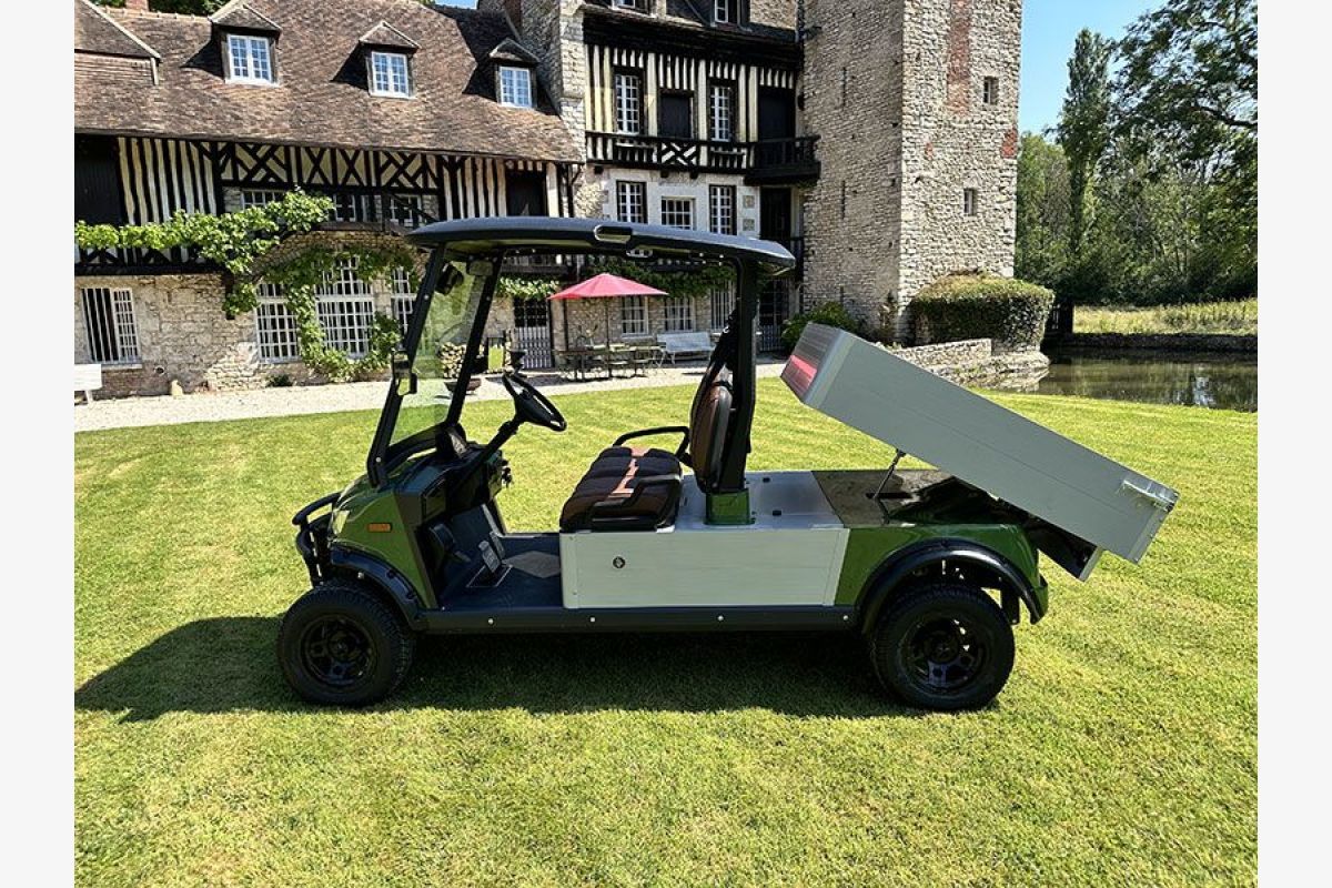 Véhicule électrique tout terrain