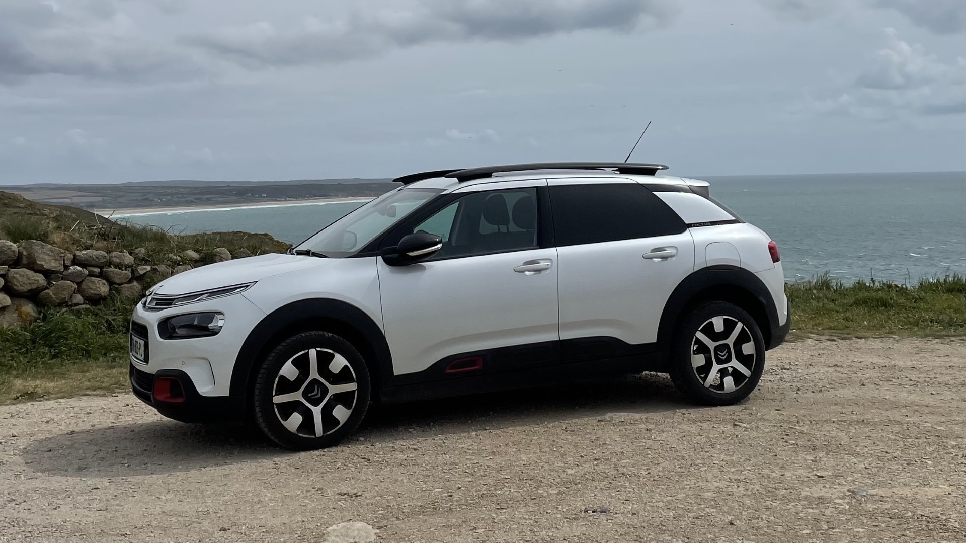 Photo 3 C4 Cactus, essence