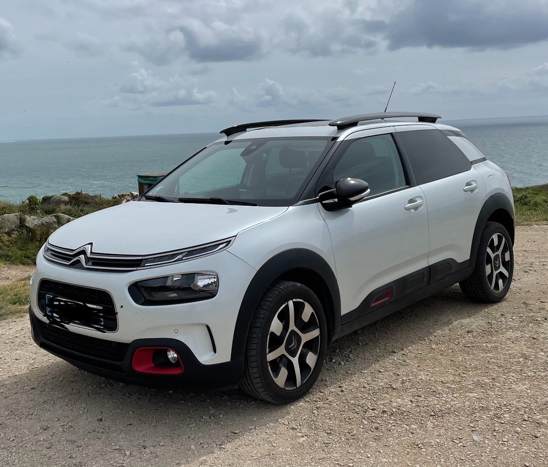 Photo 2 C4 Cactus, essence