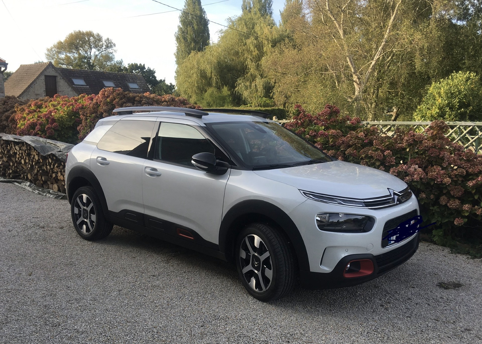 C4 Cactus, essence