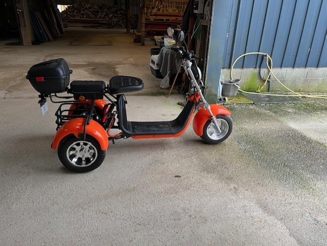 Scooter tricycle 2 places électrique 