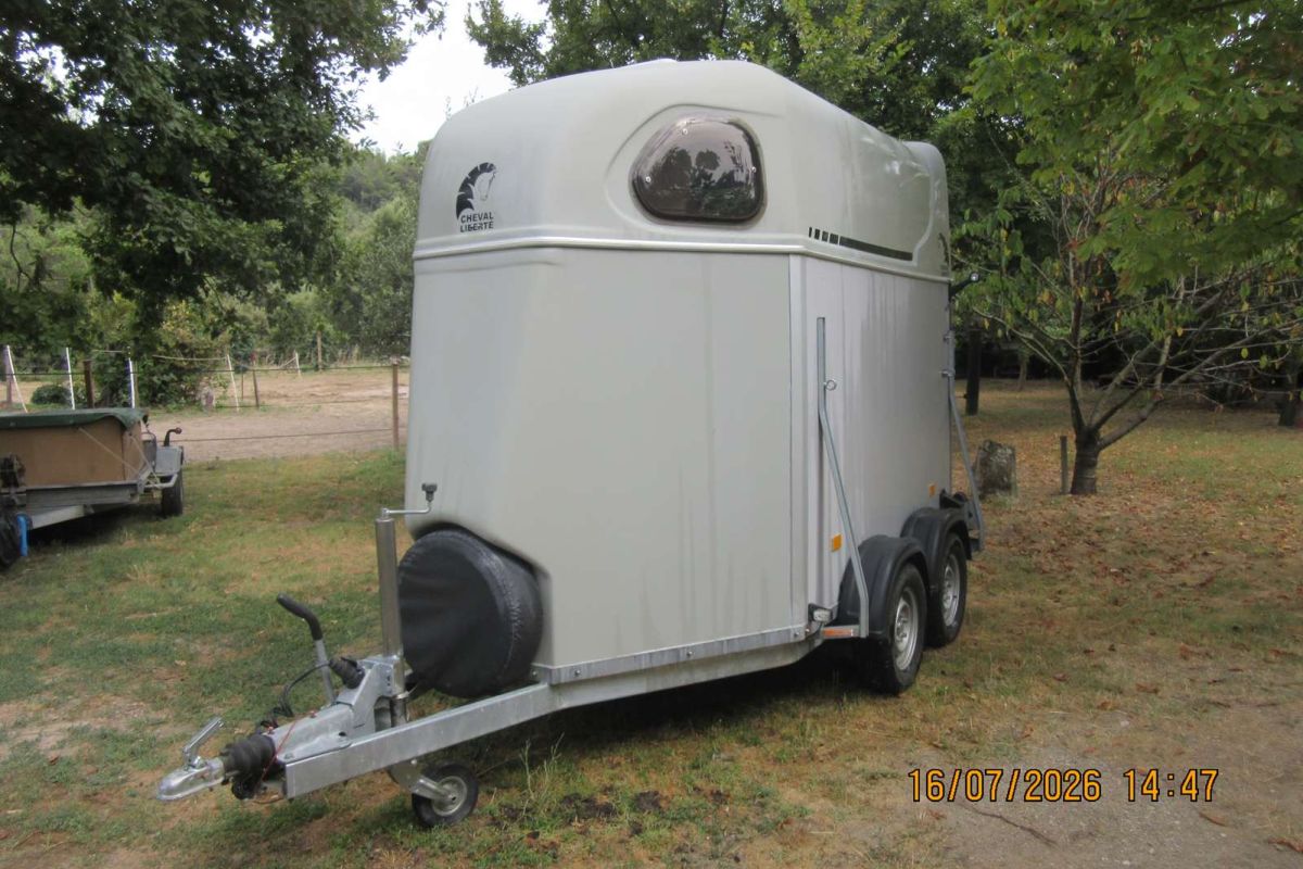 VAN deux chevaux