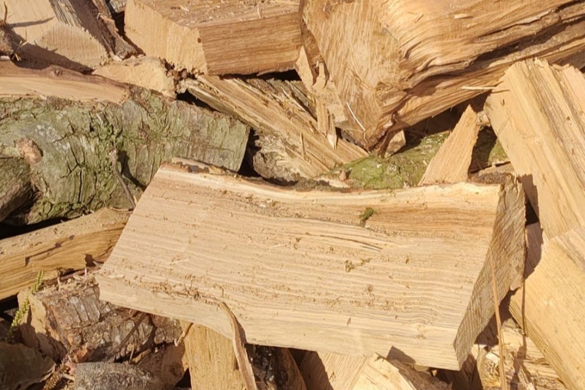 Bois de chauffage 