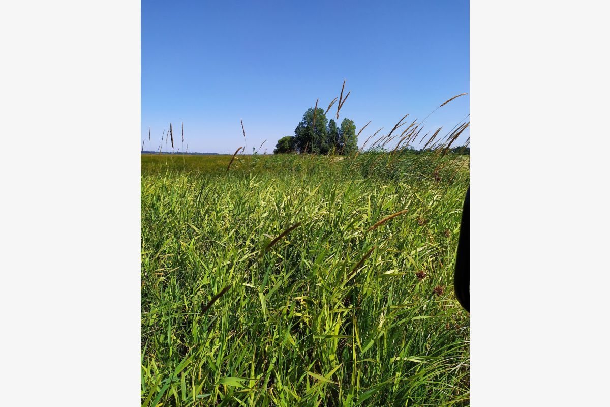 12 ha d'herbe à faucher