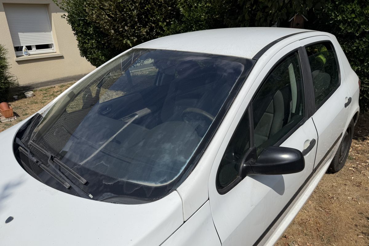 Photo 3 Peugeot 307
