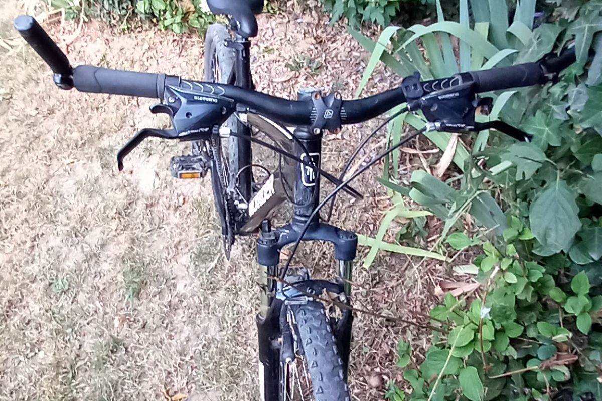 Photo 3 Vélo