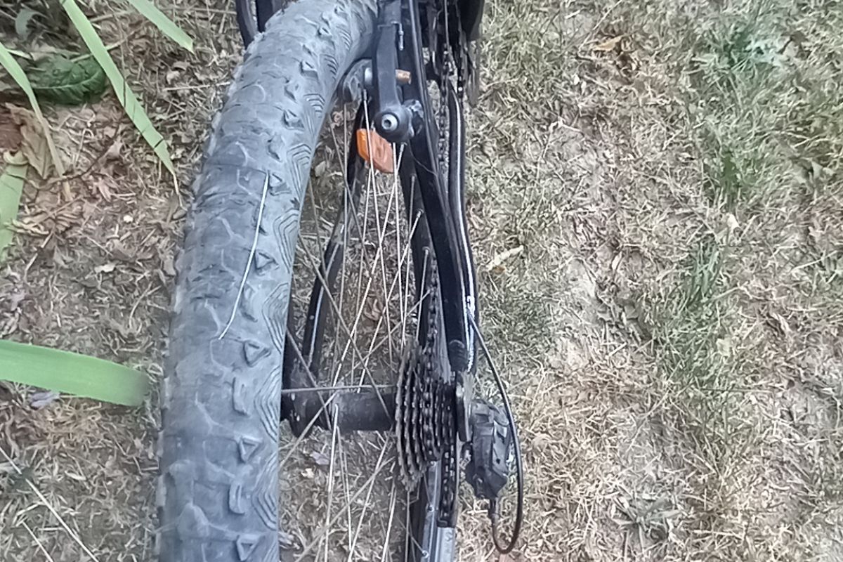Photo 2 Vélo
