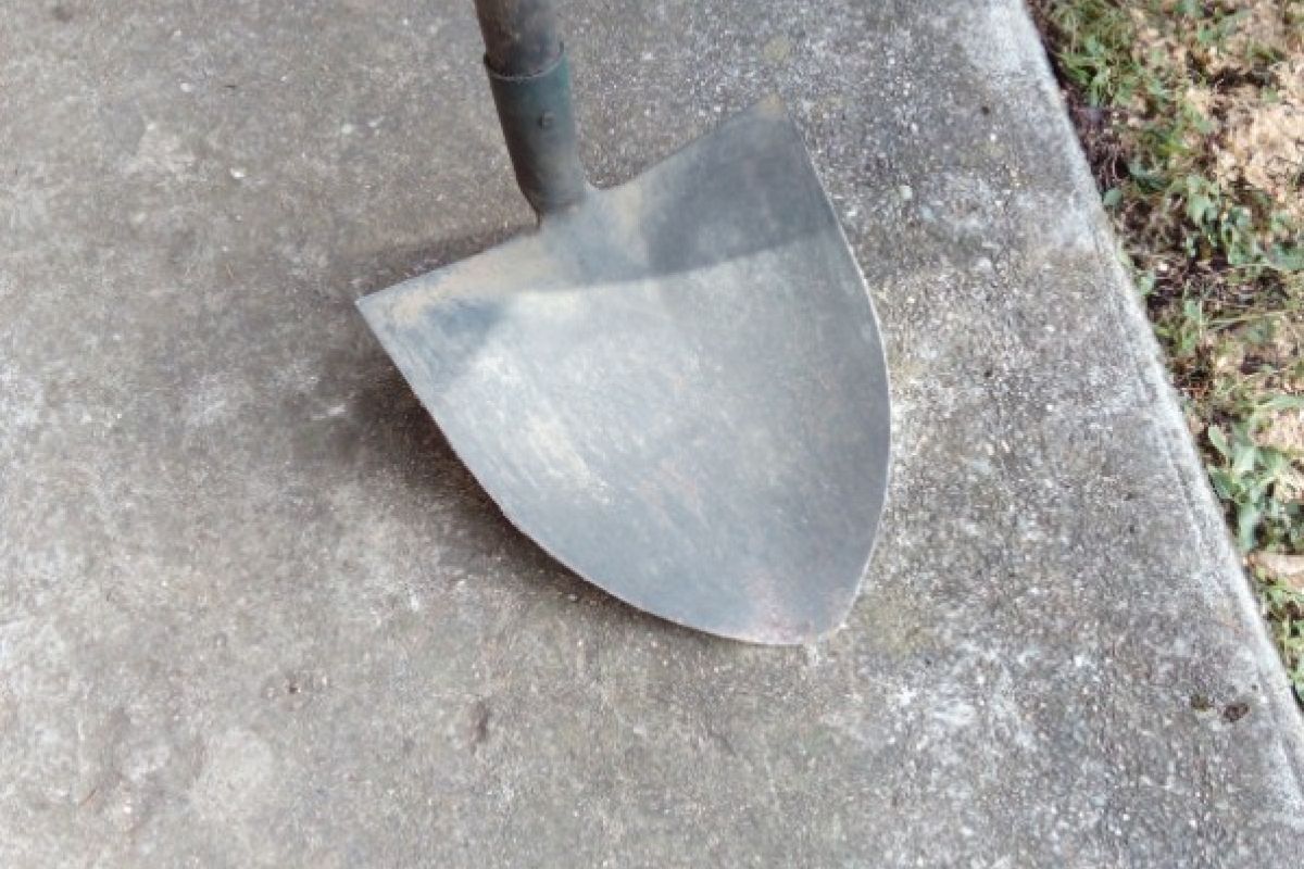Photo 2 Pelle pour vos travaux