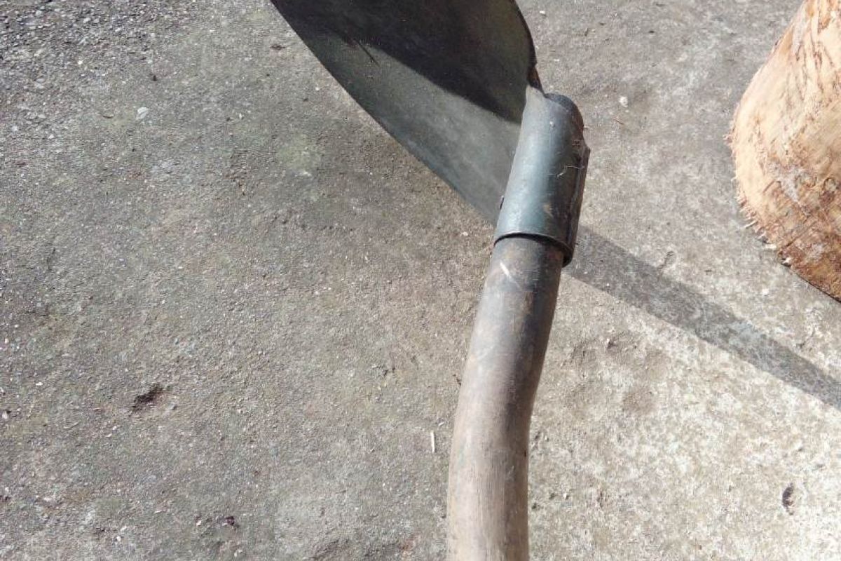 Photo 3 Pelle pour vos travaux
