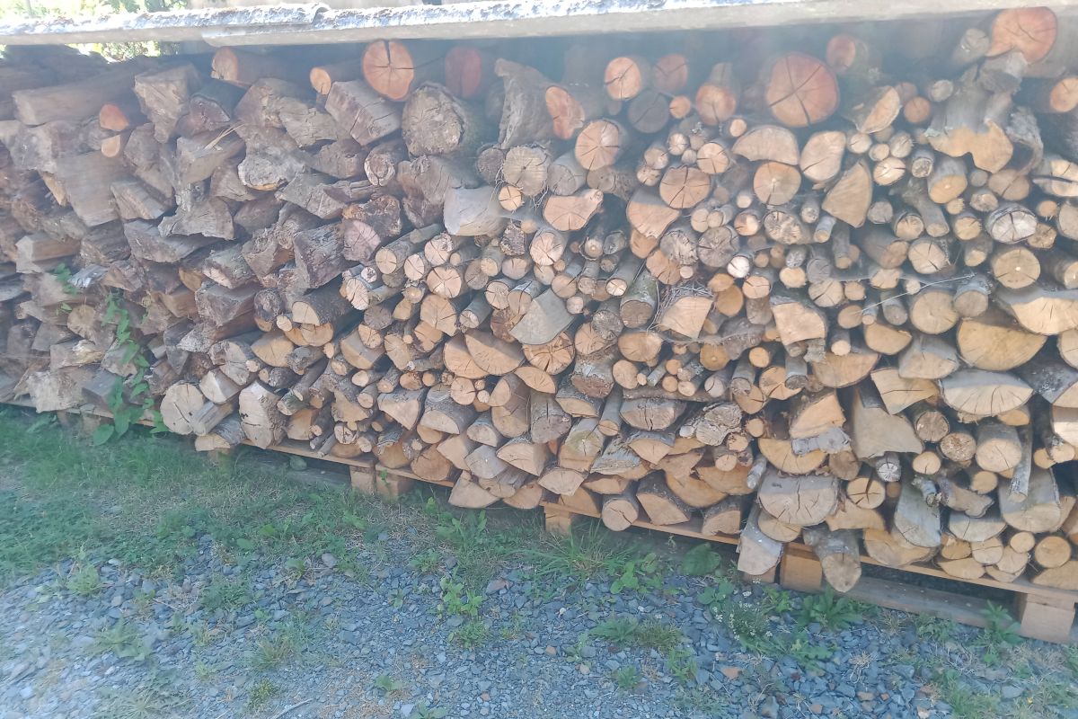 Bois de chauffage 