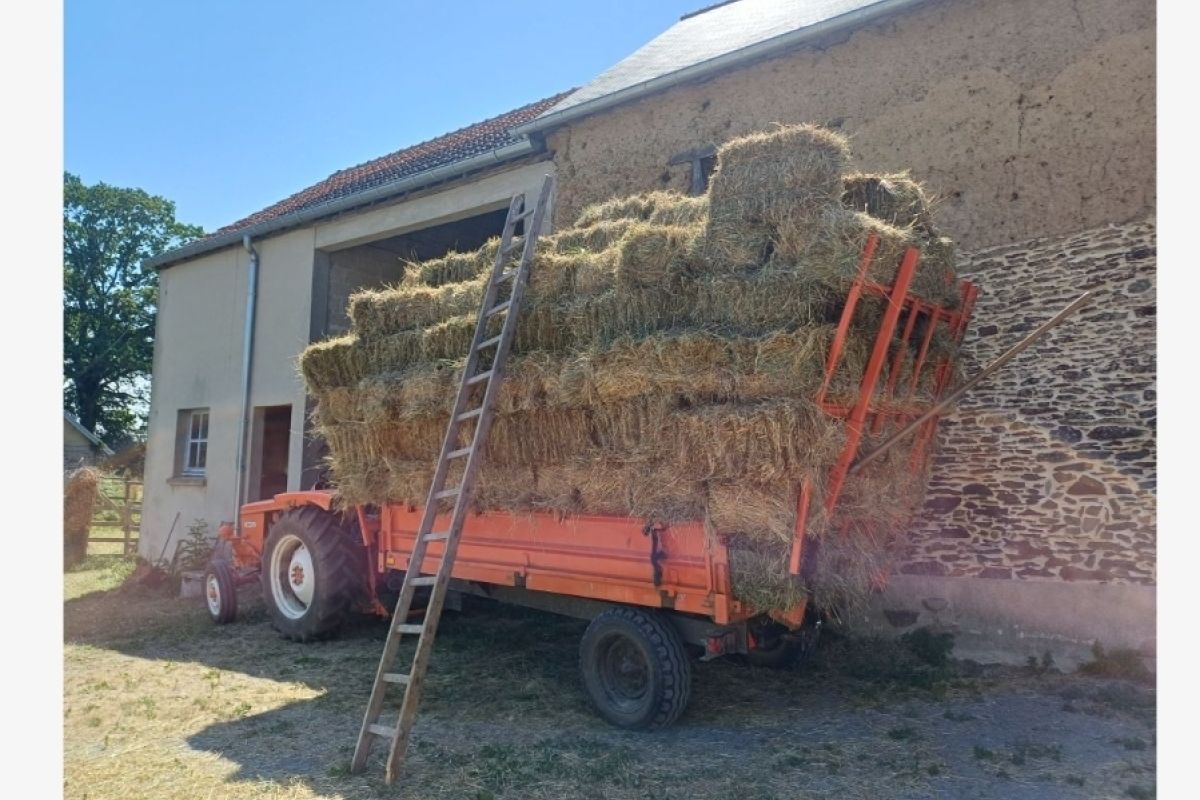 Foin en balles