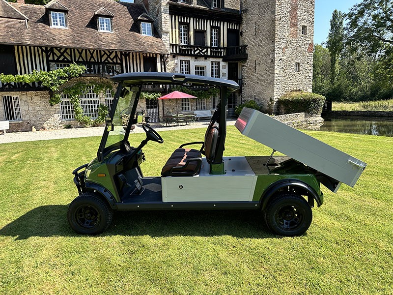 Electrique tout terrain